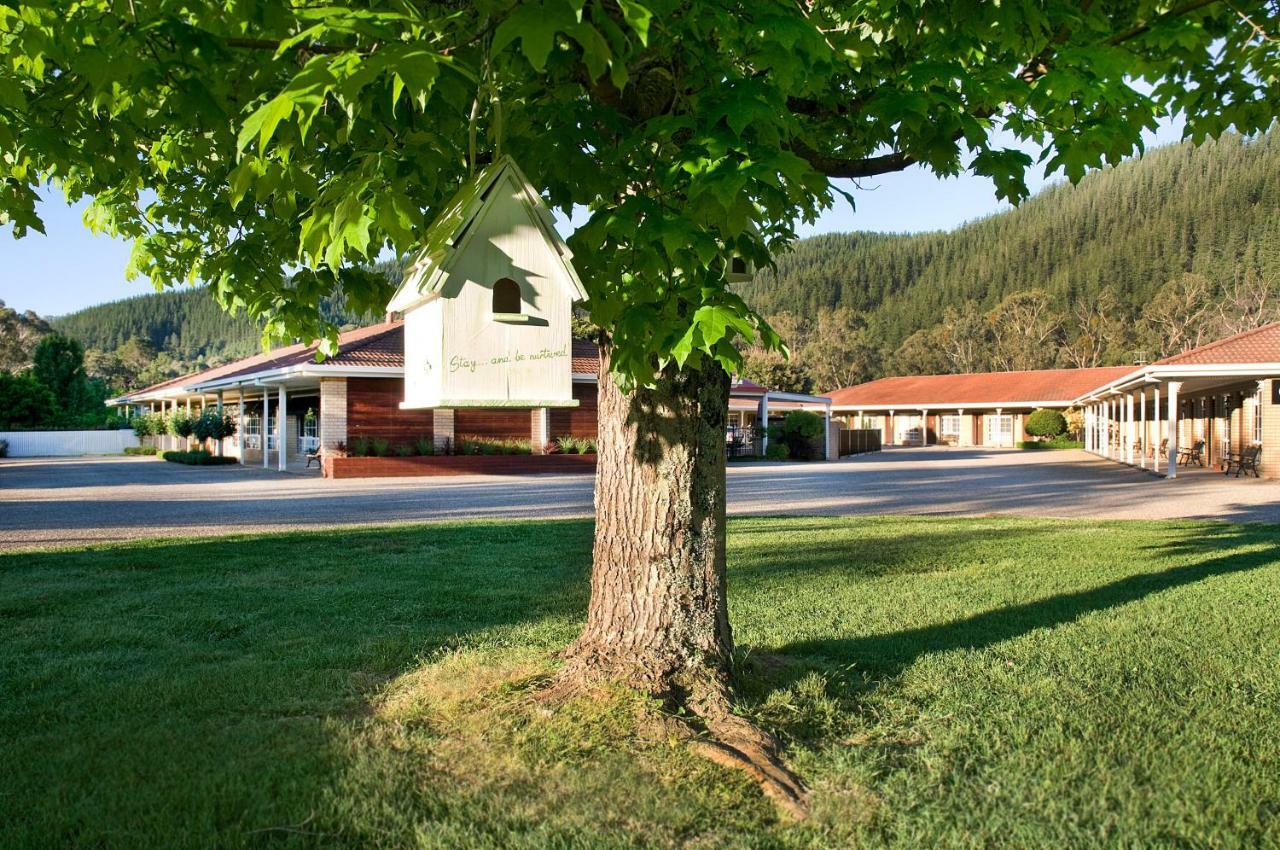 Ovens Valley Motor Inn Bright Eksteriør bilde
